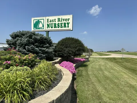 Thriving Huron Nursery For Sale