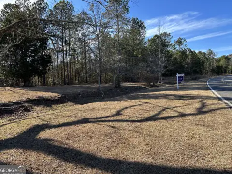 Shiloh, GA Agricultural Land