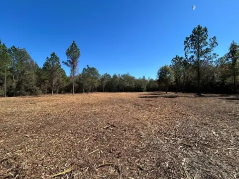 Residential Land in Ashford, AL