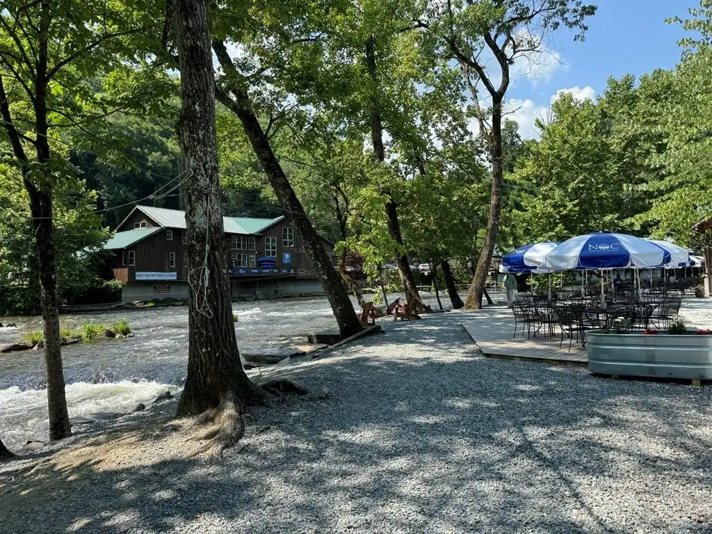Picture 8