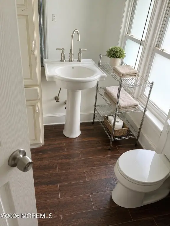 Picture 21