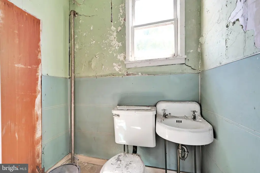 Picture 25
