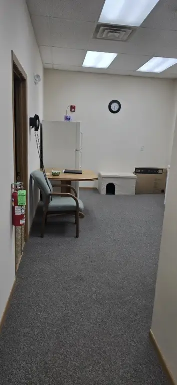 Picture 6