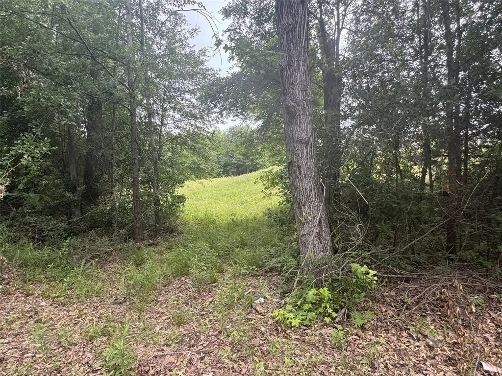 Picture 29
