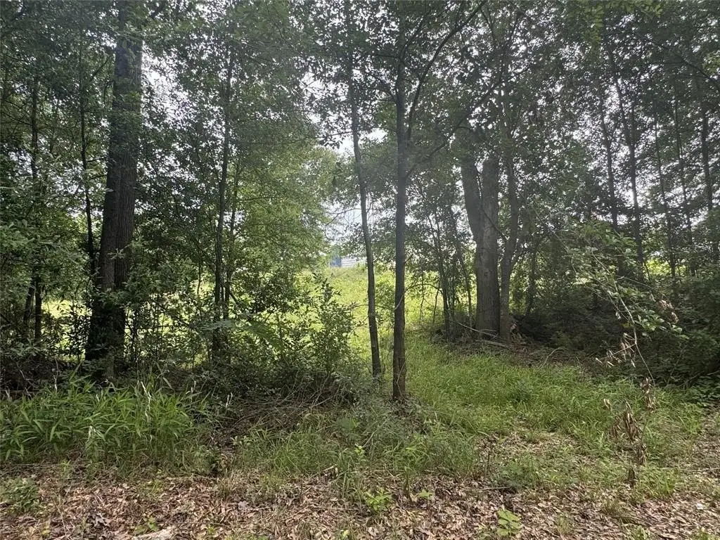 Picture 28