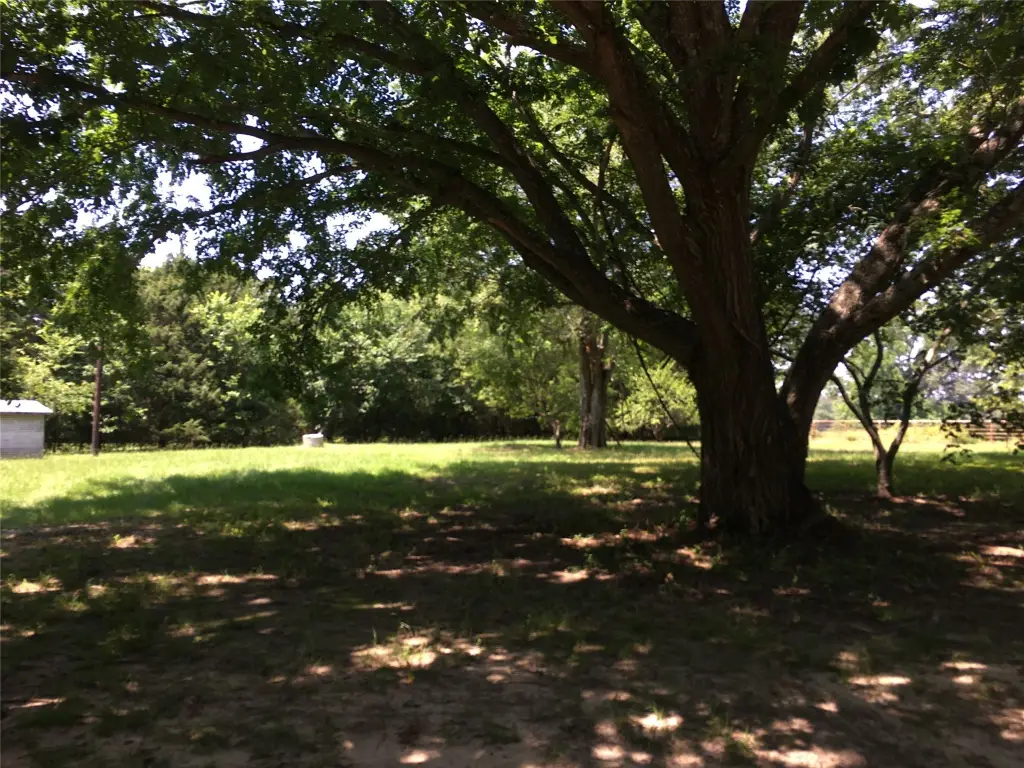 Picture 19