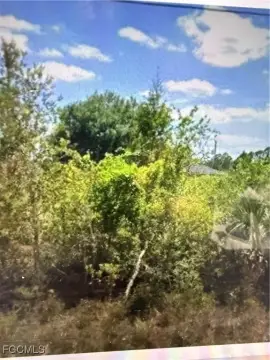 Quarter-Acre Lot in Lehigh Acres