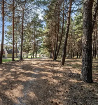 Updated Home on Acreage