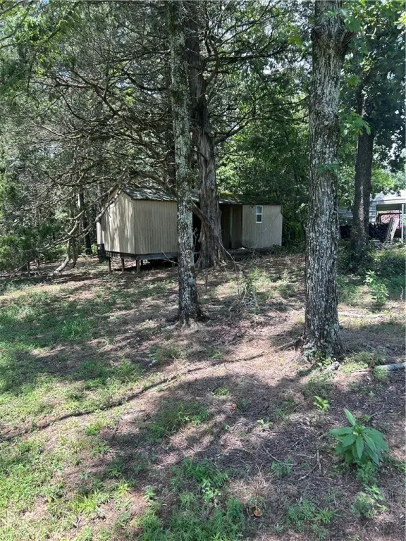 Picture 17
