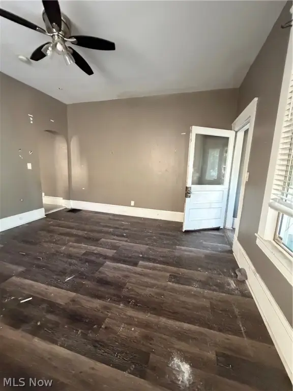 Picture 5