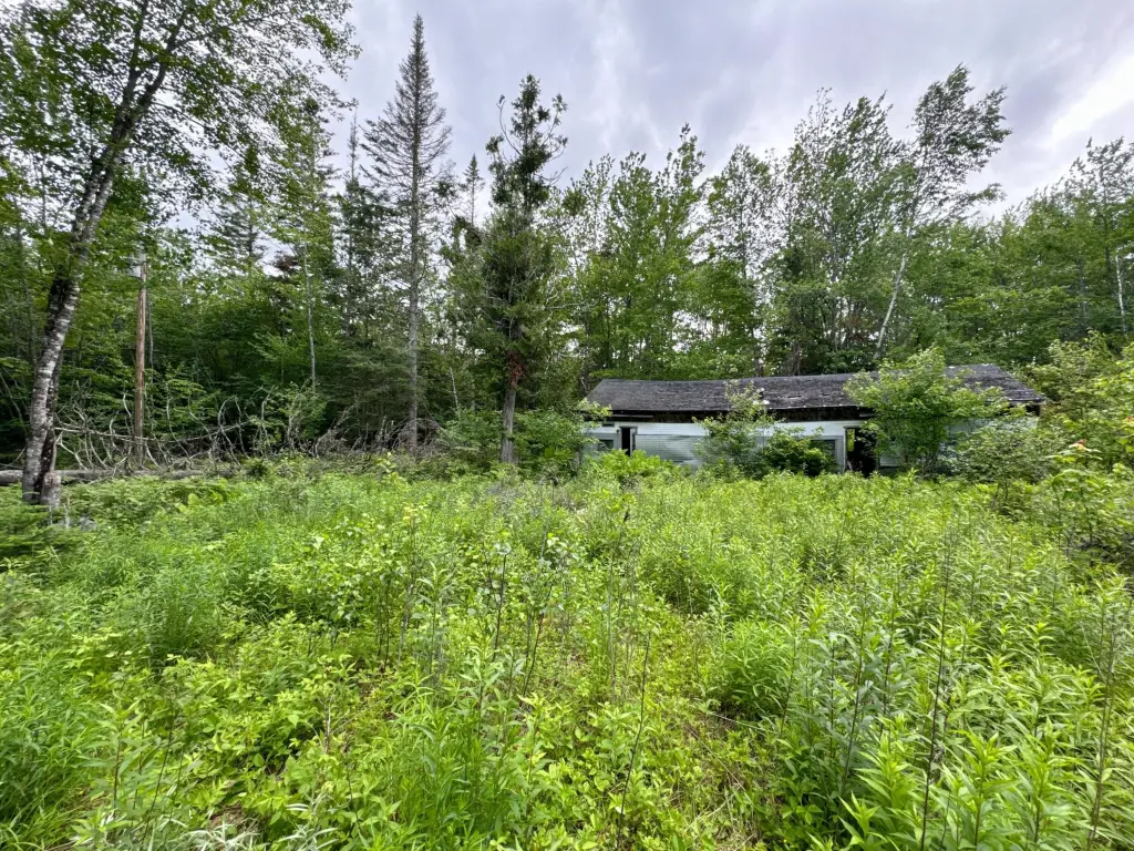 Picture 3