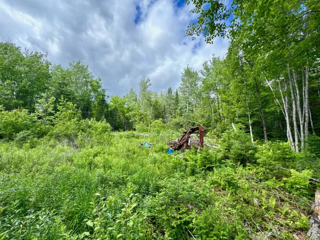 Picture 5