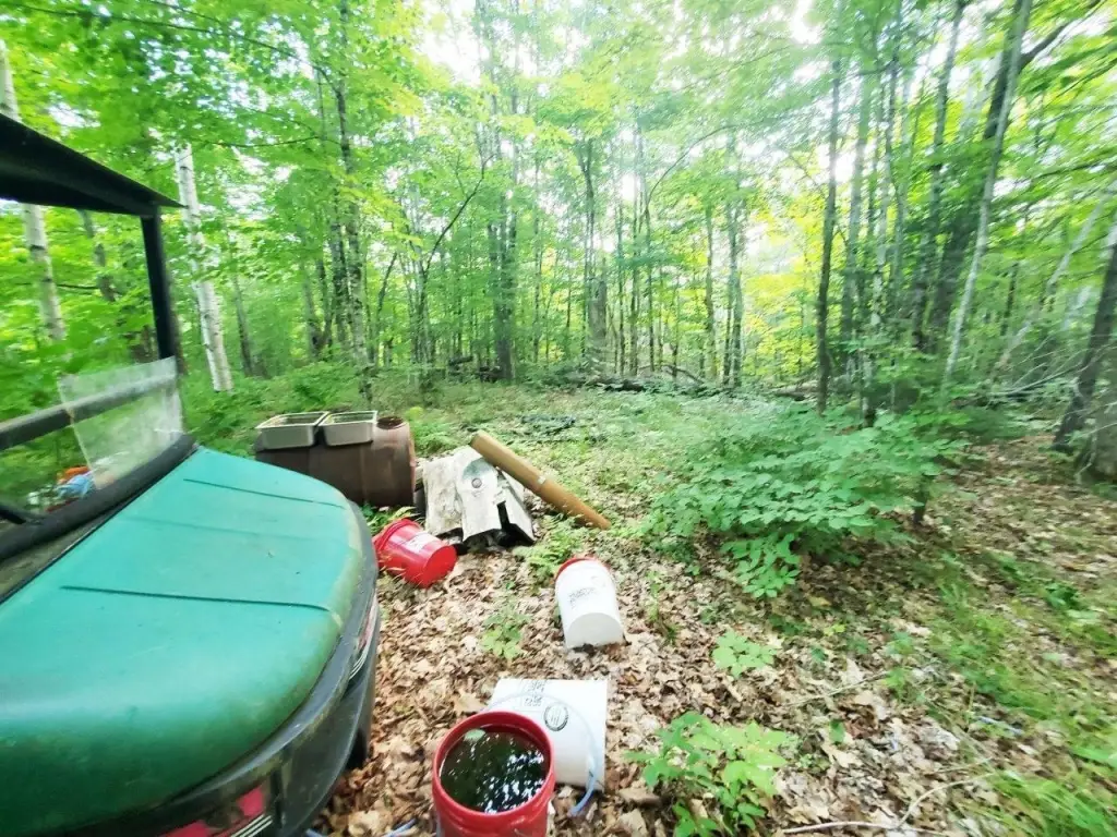 Picture 18