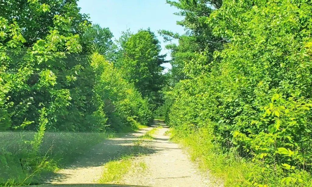 Picture 26