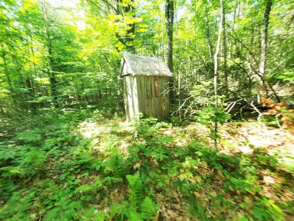 Picture 9
