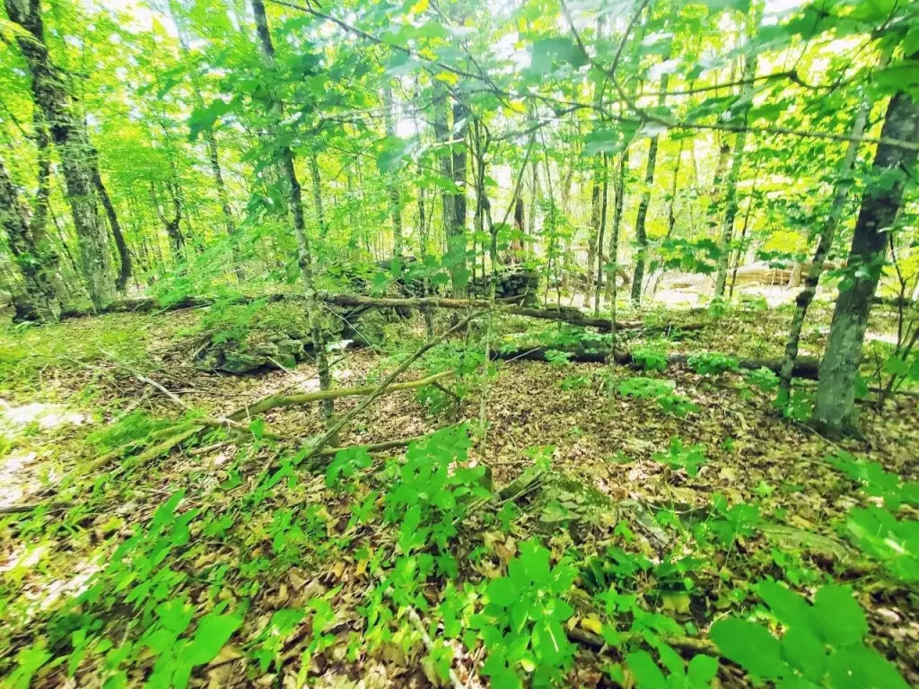 Picture 19