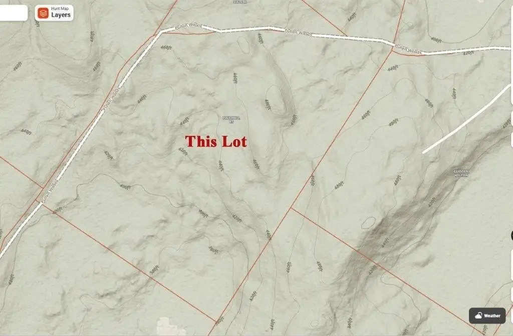 Picture 6
