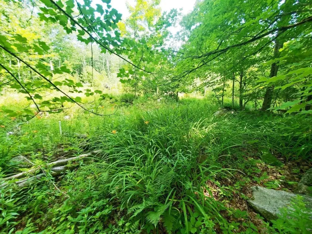 Picture 47