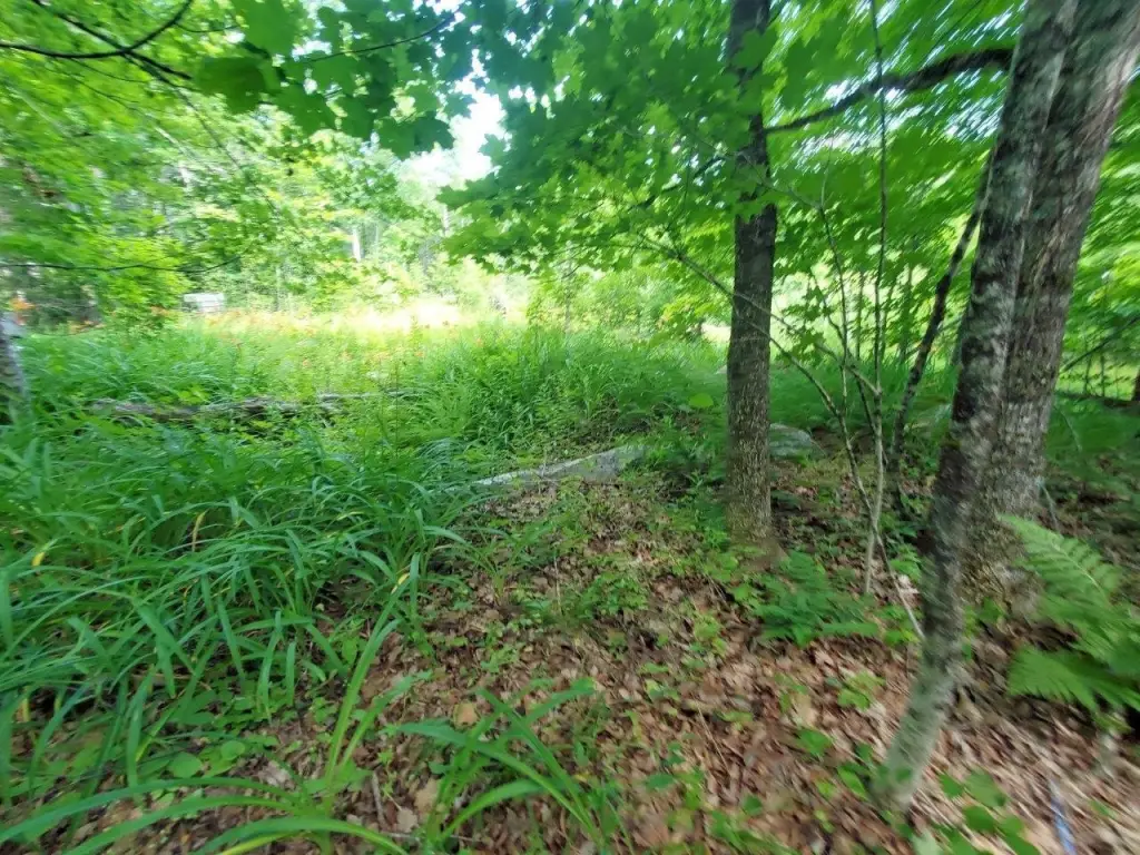 Picture 46