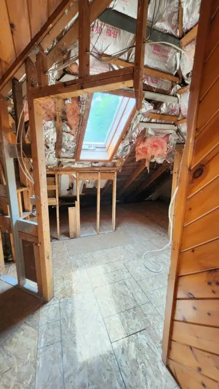 Picture 16