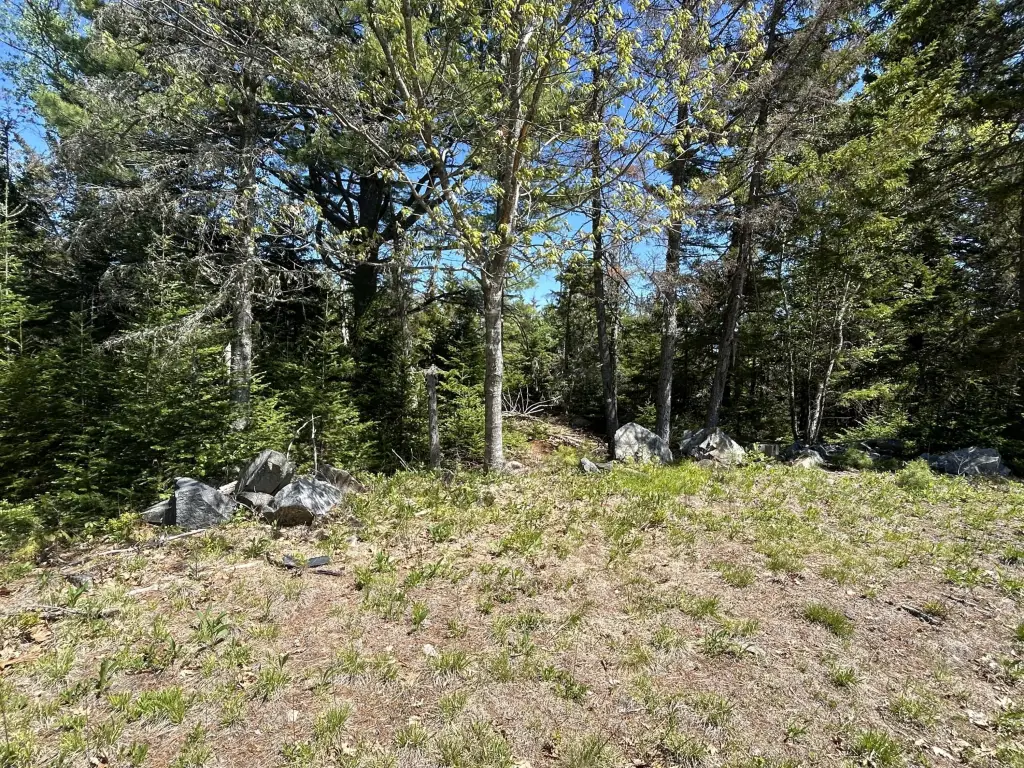 Picture 16
