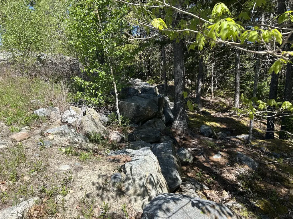 Picture 21