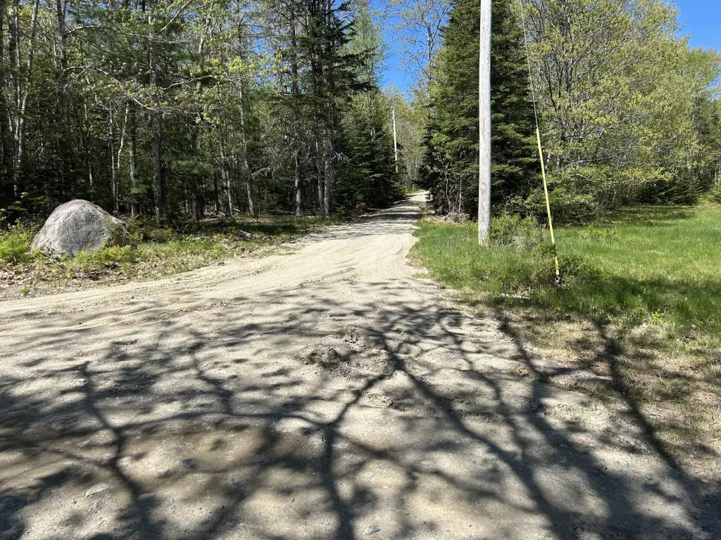 Picture 3