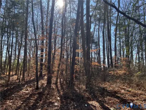 Wooded Lot in Quinton, VA