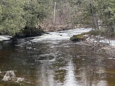 Land with Davis Brook Frontage