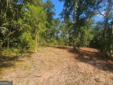 Residential Land in Louisville, GA