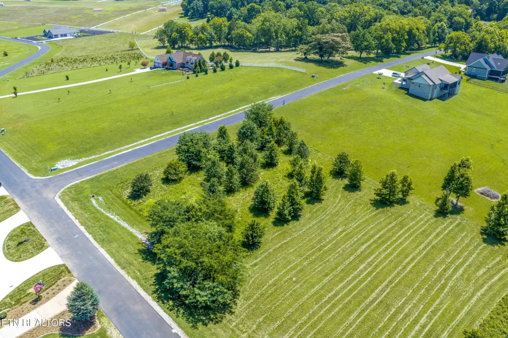 Picture 28