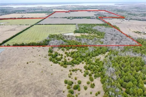 233.35 Acres Untamed Land Investment