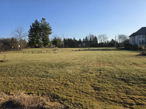 Oak Brook Vacant Land Site