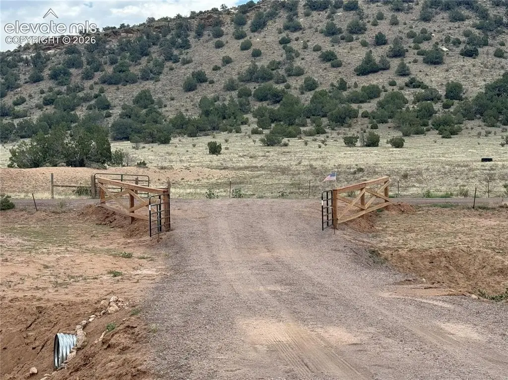Picture 9