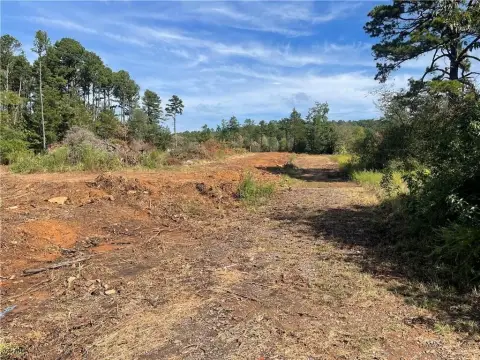Cleared Land Ready for Development