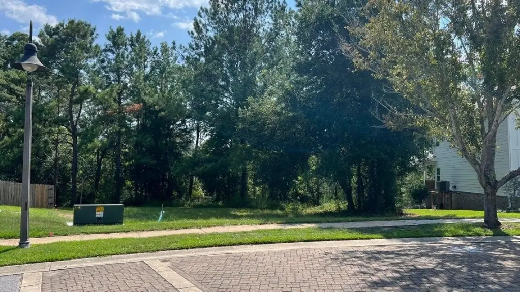 Picture 22