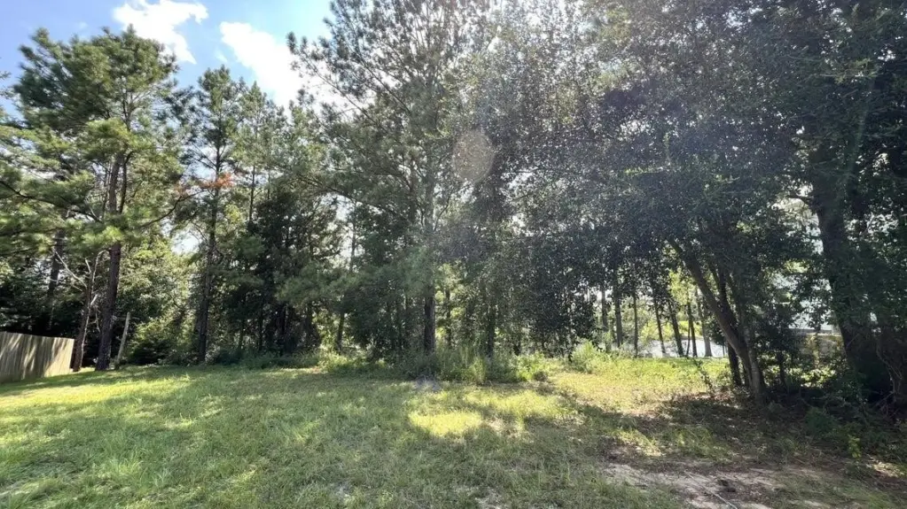 Picture 20