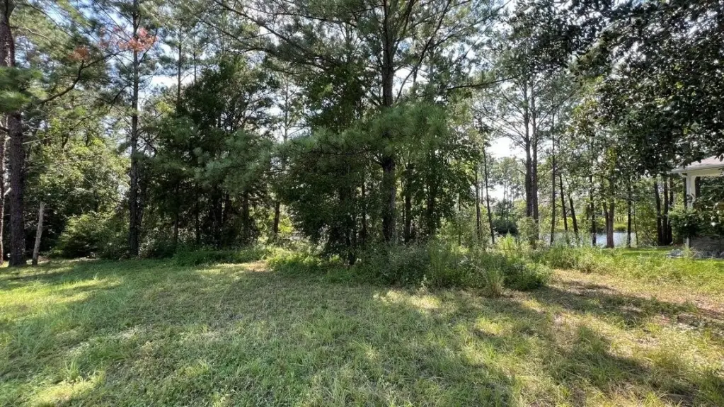 Picture 17