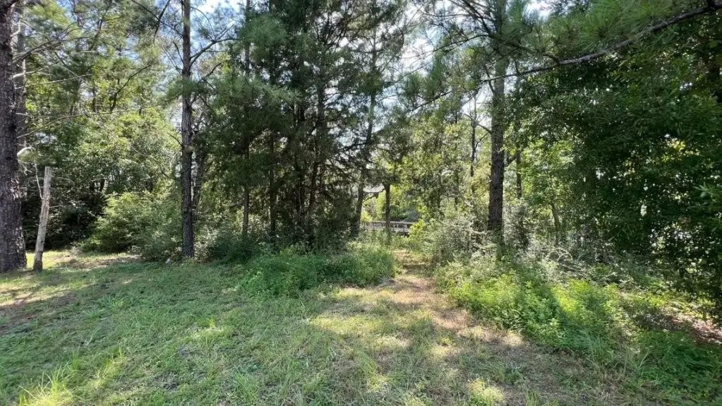 Picture 18