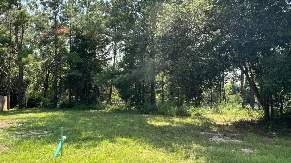 Picture 21