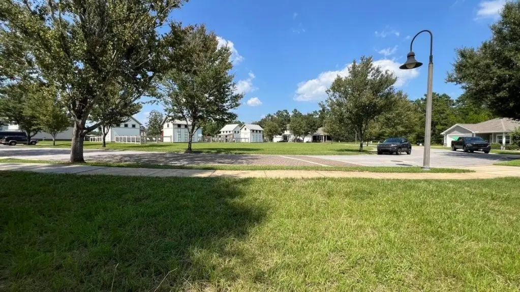 Picture 23