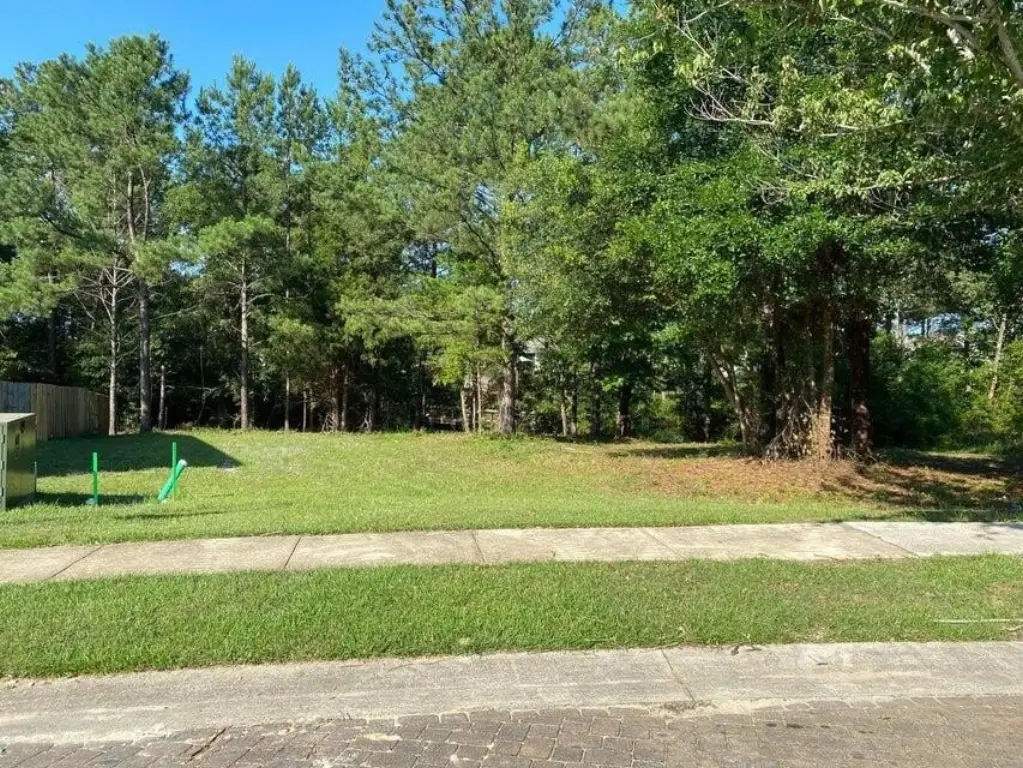 Picture 4
