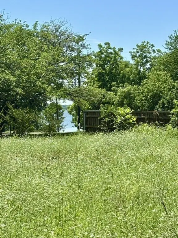 Picture 4