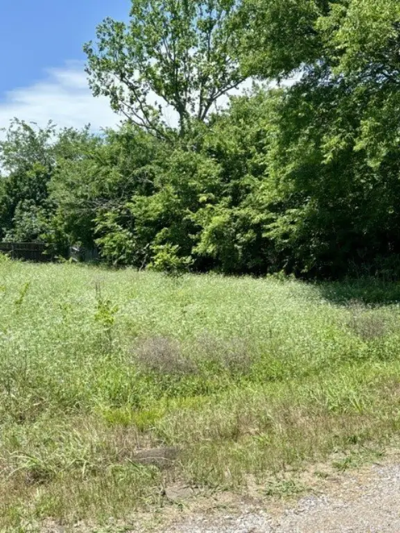Picture 3