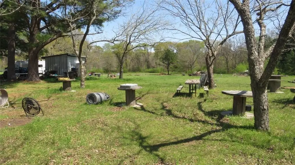 Picture 5