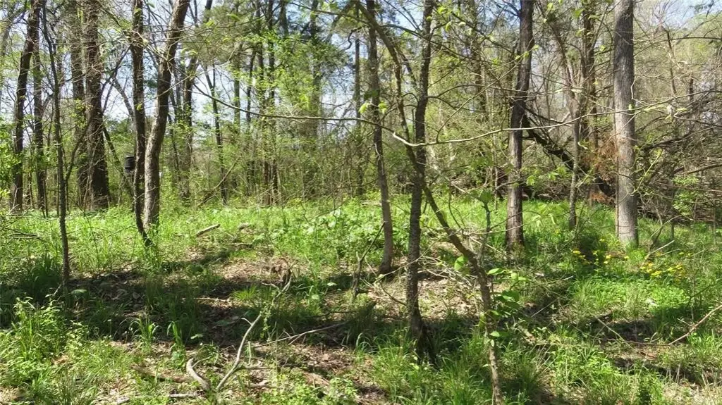 Picture 10