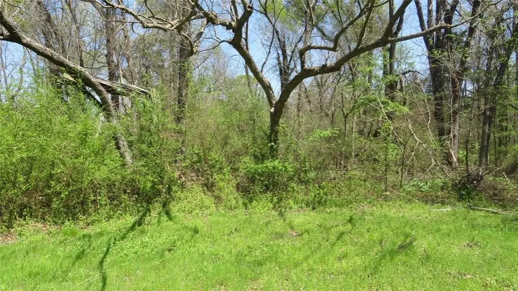 Picture 2