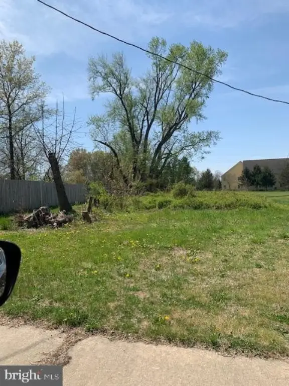 Picture 5