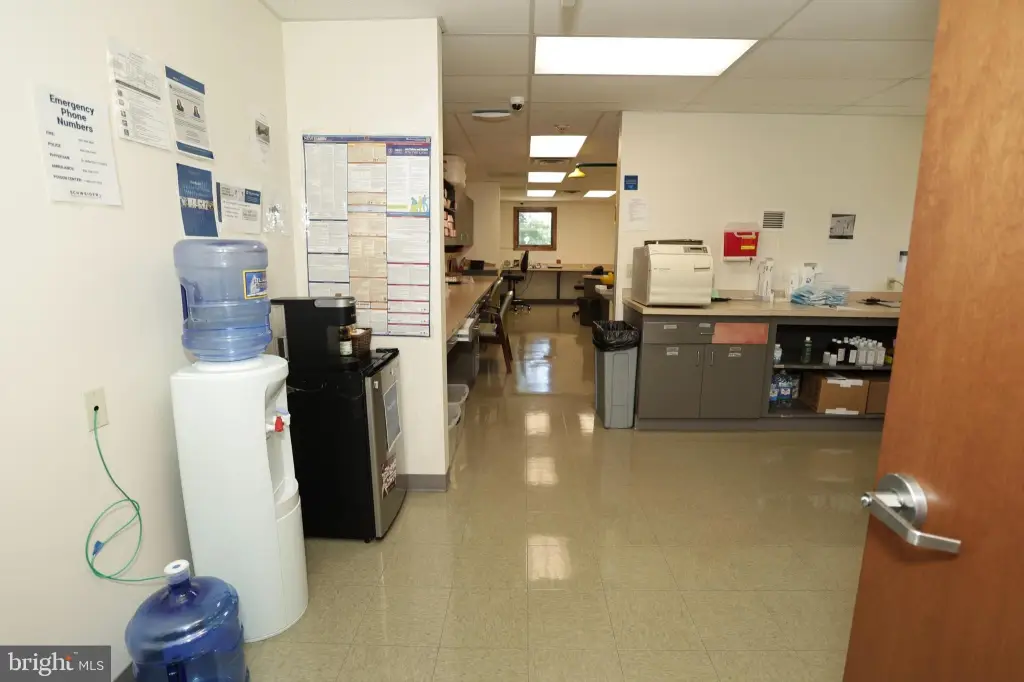 Picture 16