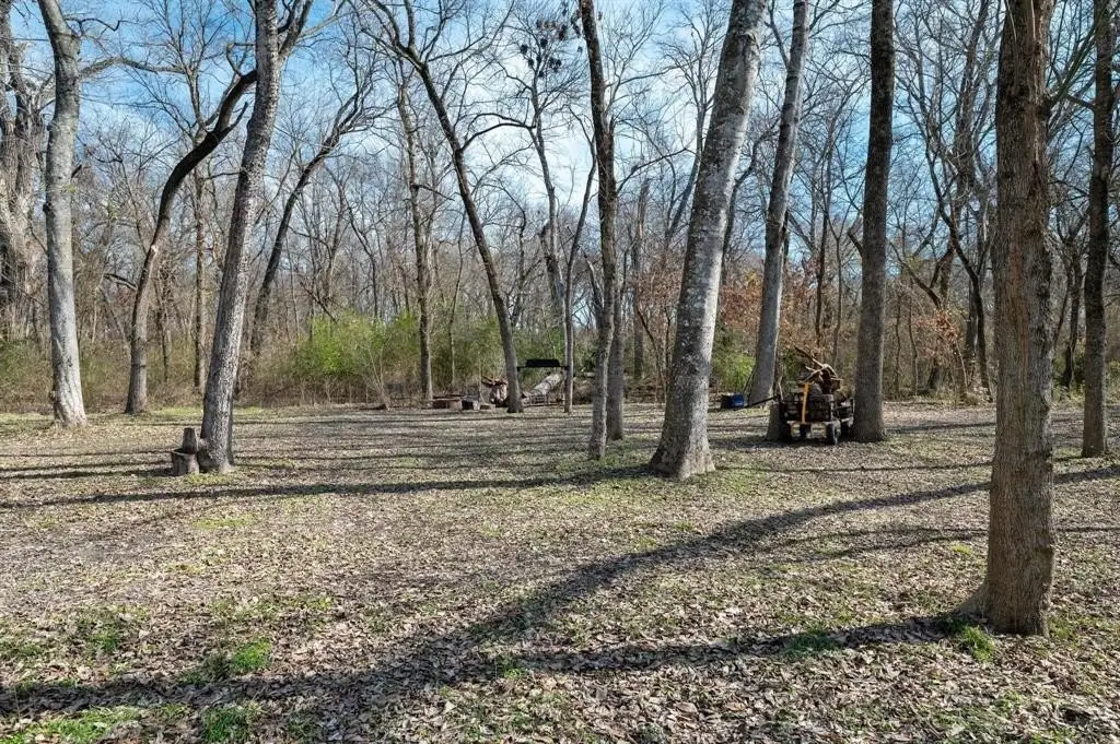 Picture 14